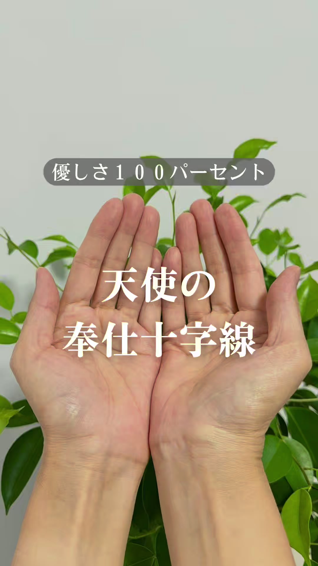 @shizue_tesou