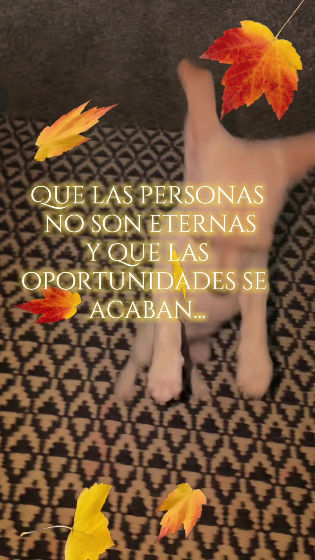 @aprendeconmary2