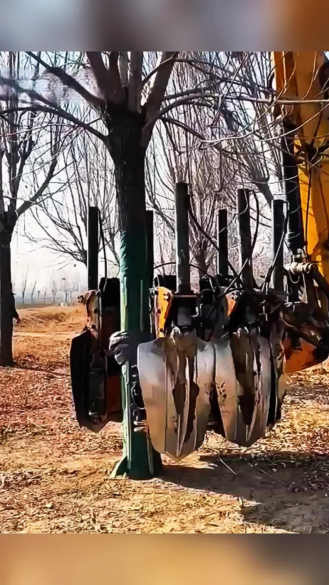 @hjgt204