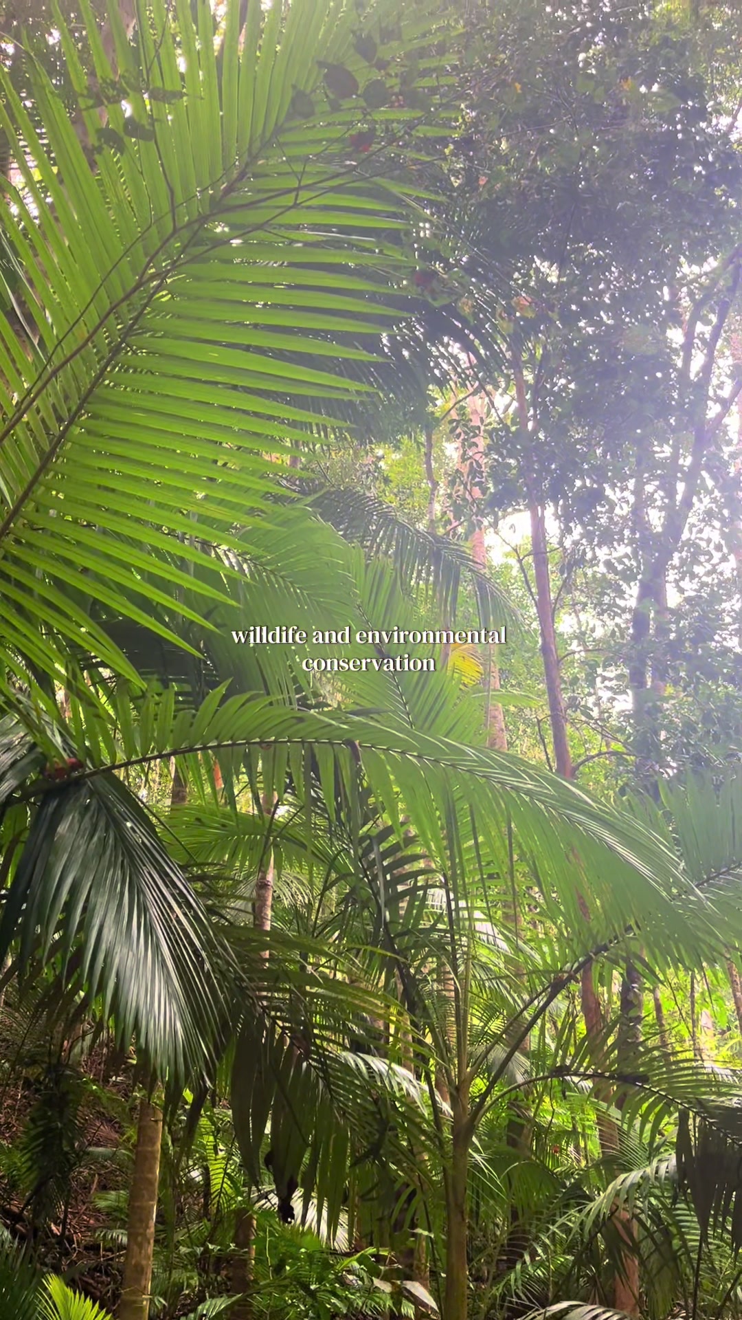 @earthly conservations