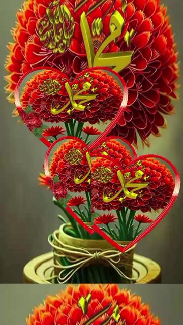 @dildarlashri2