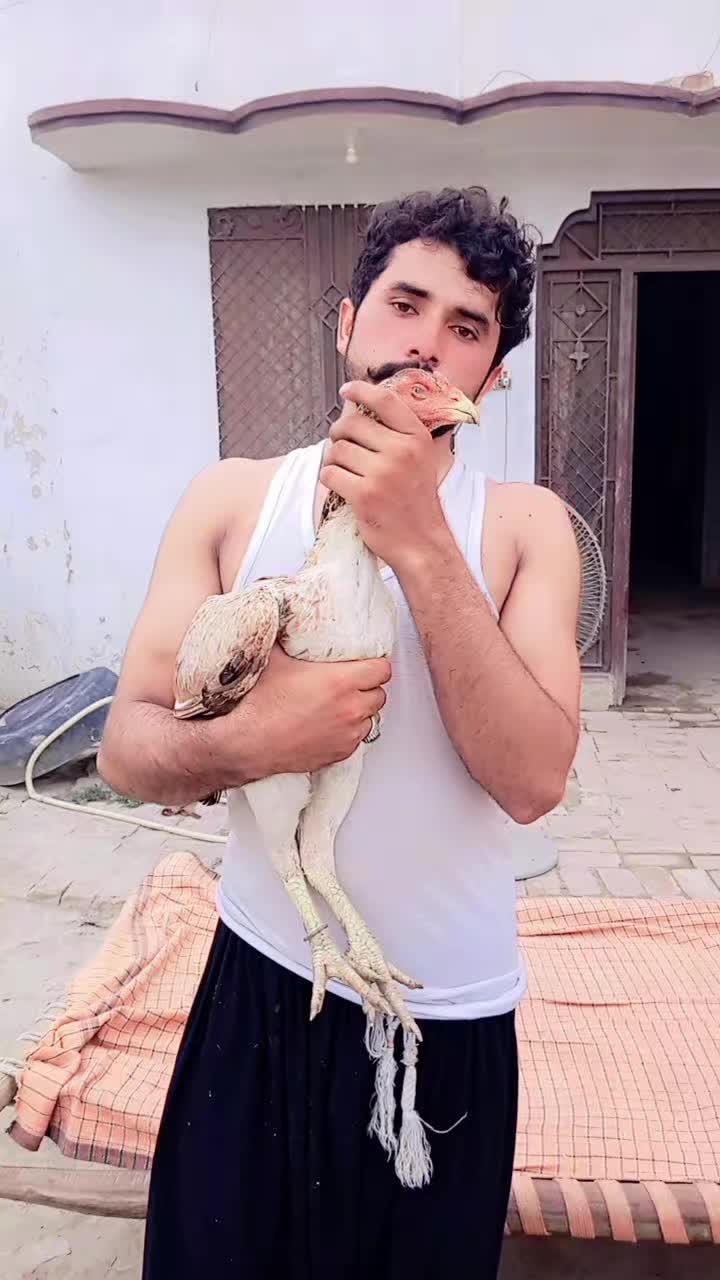 @عرفان ماہی 🇸🇦