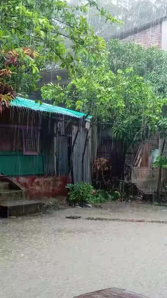 @ফুল🌸🌼
