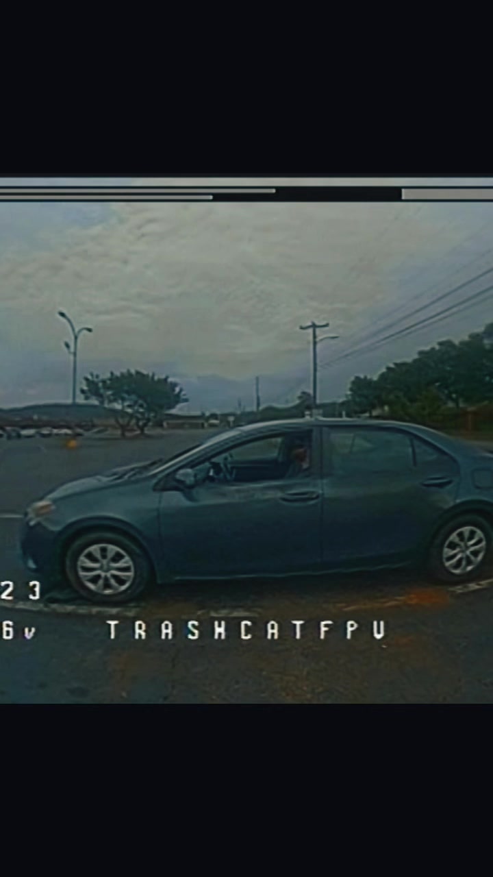 @TrashCatFPV
