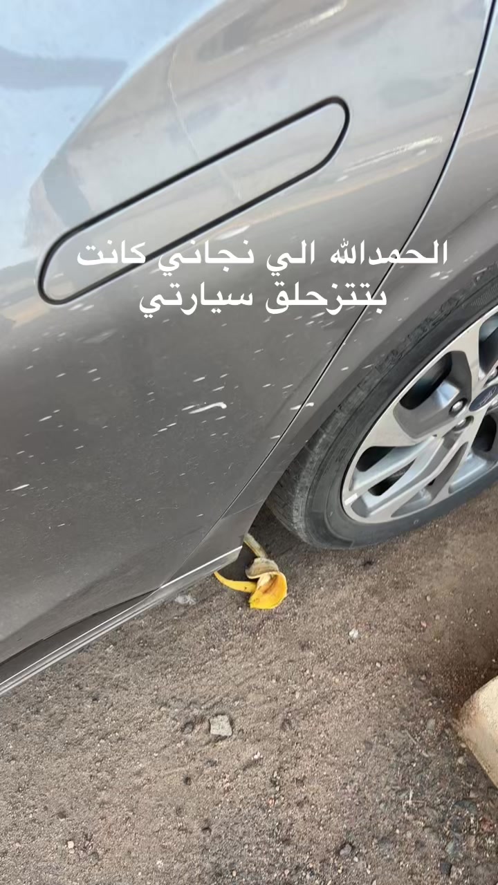 @ريان الجهني