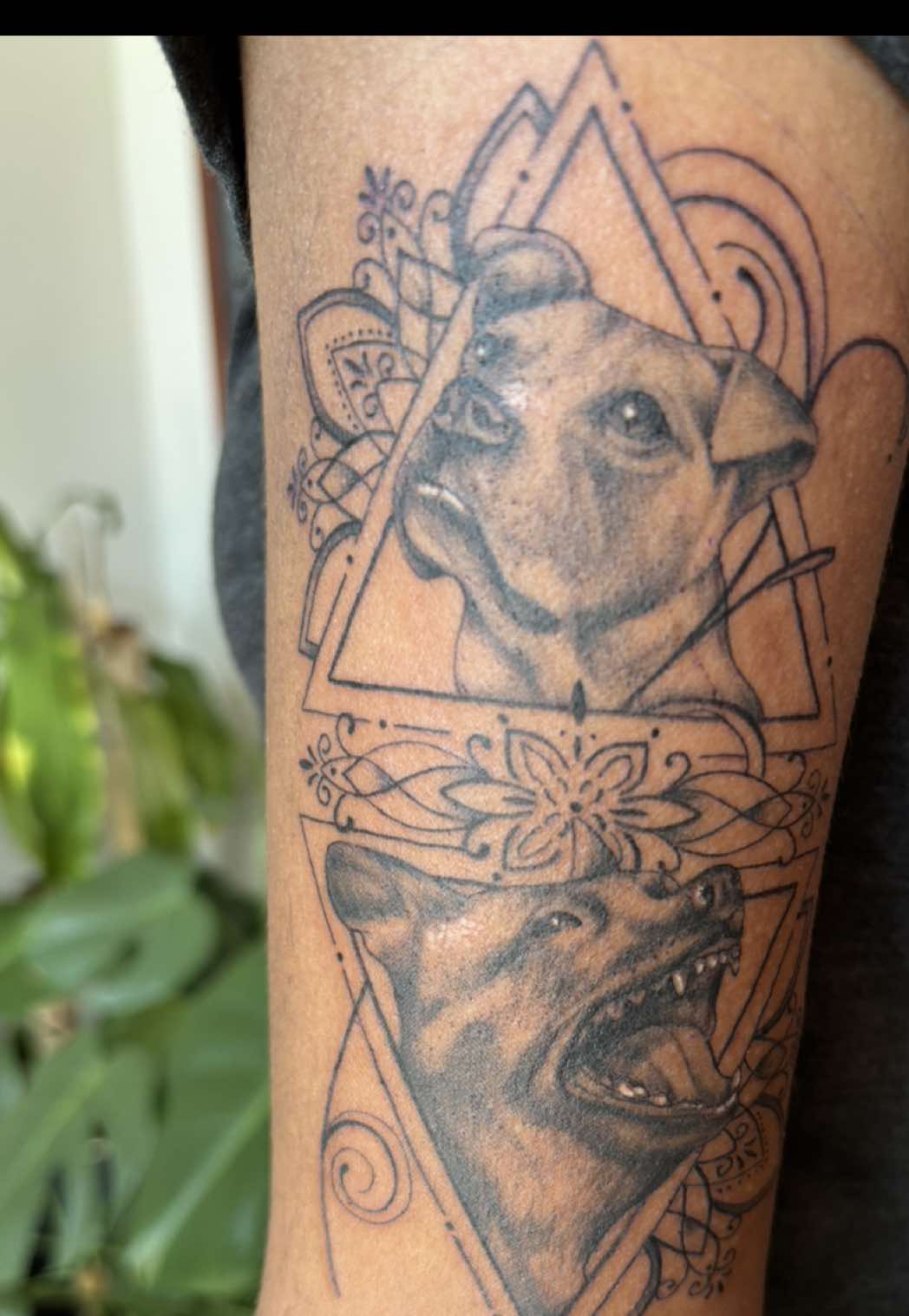 @dogstrainjen