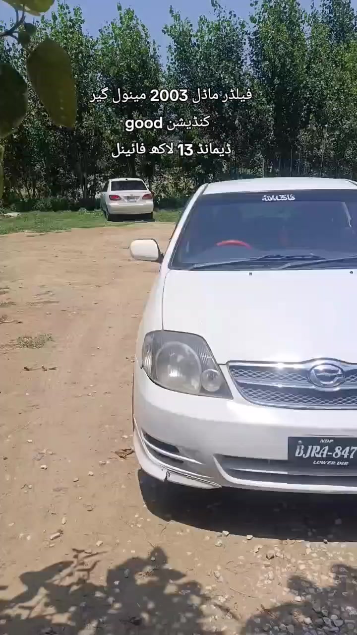 @ncpcarlover1