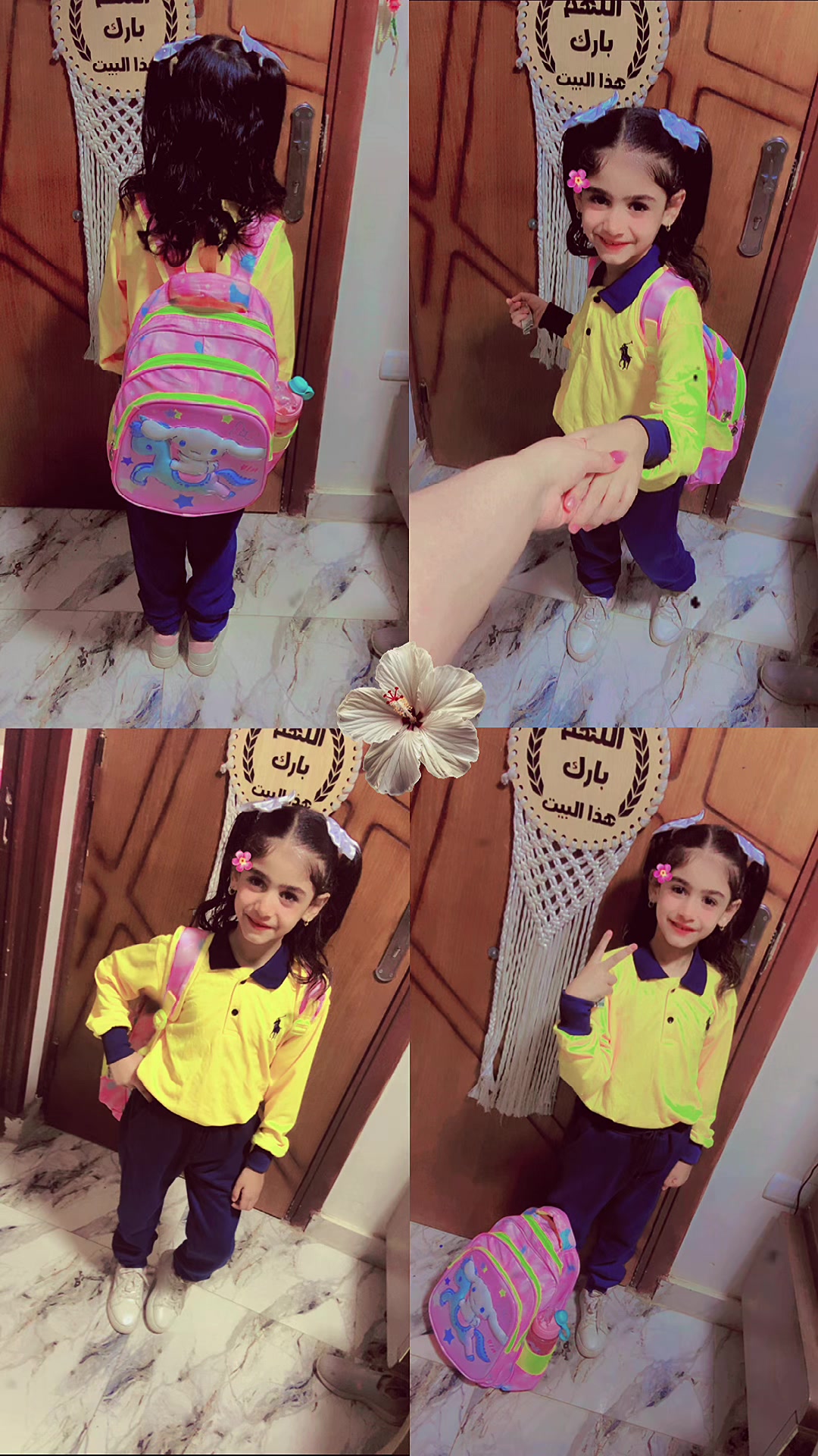@Mohra 🐎👑