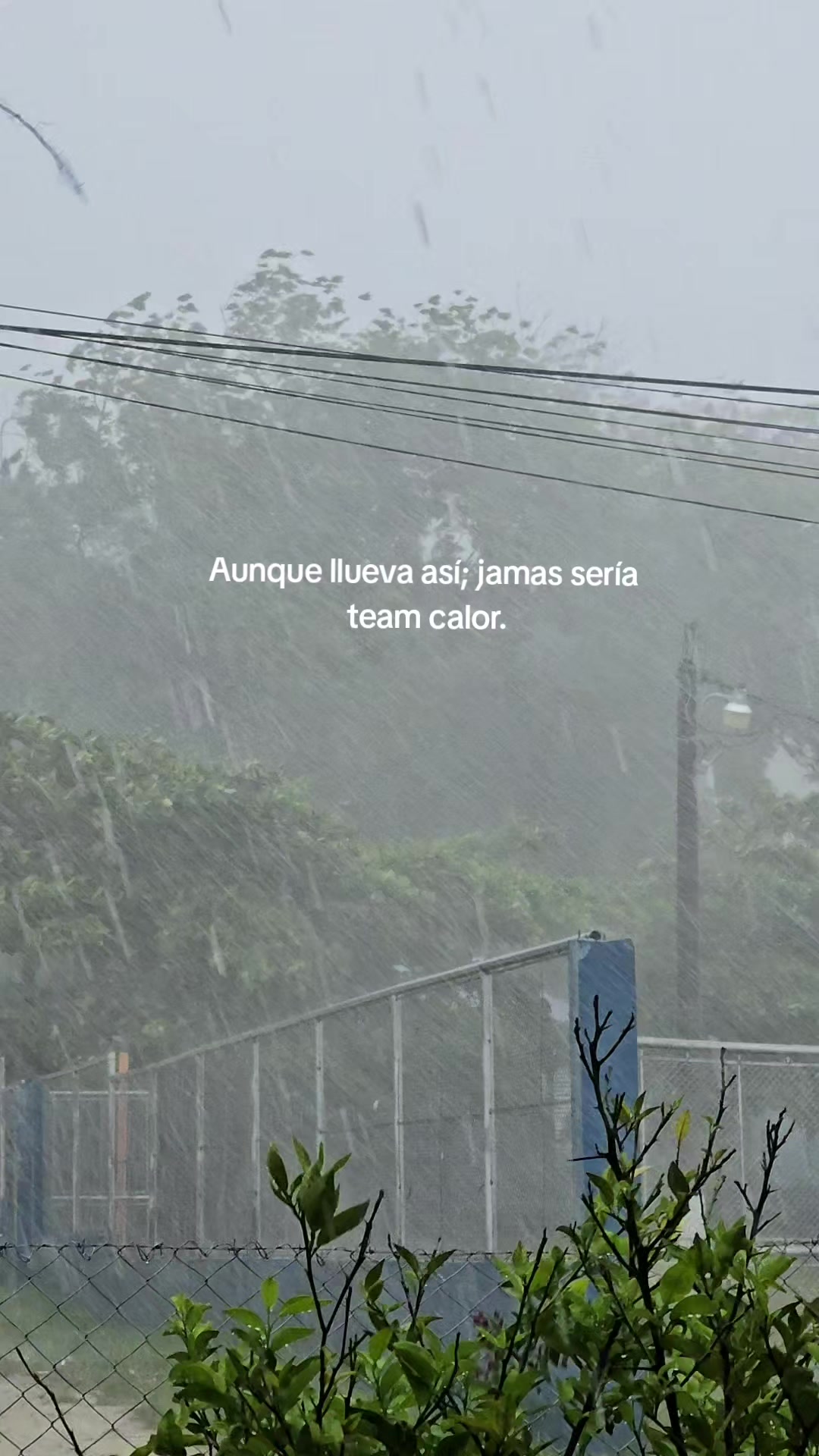 @Quiet