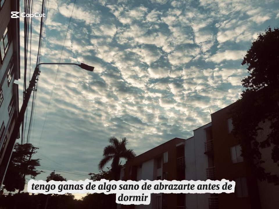 @PIRIDAVIDOFICIAL