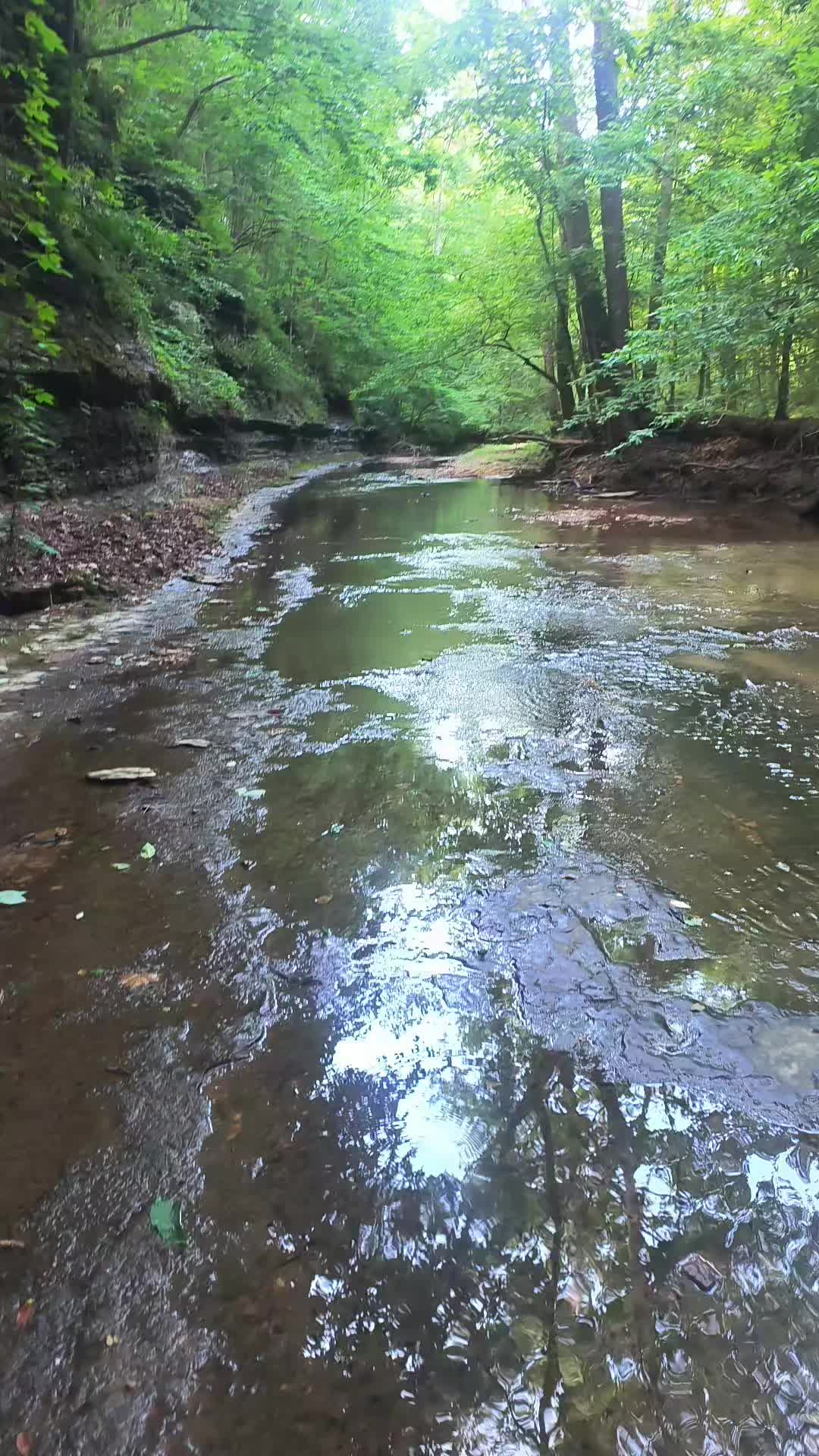 @AshleyChalet