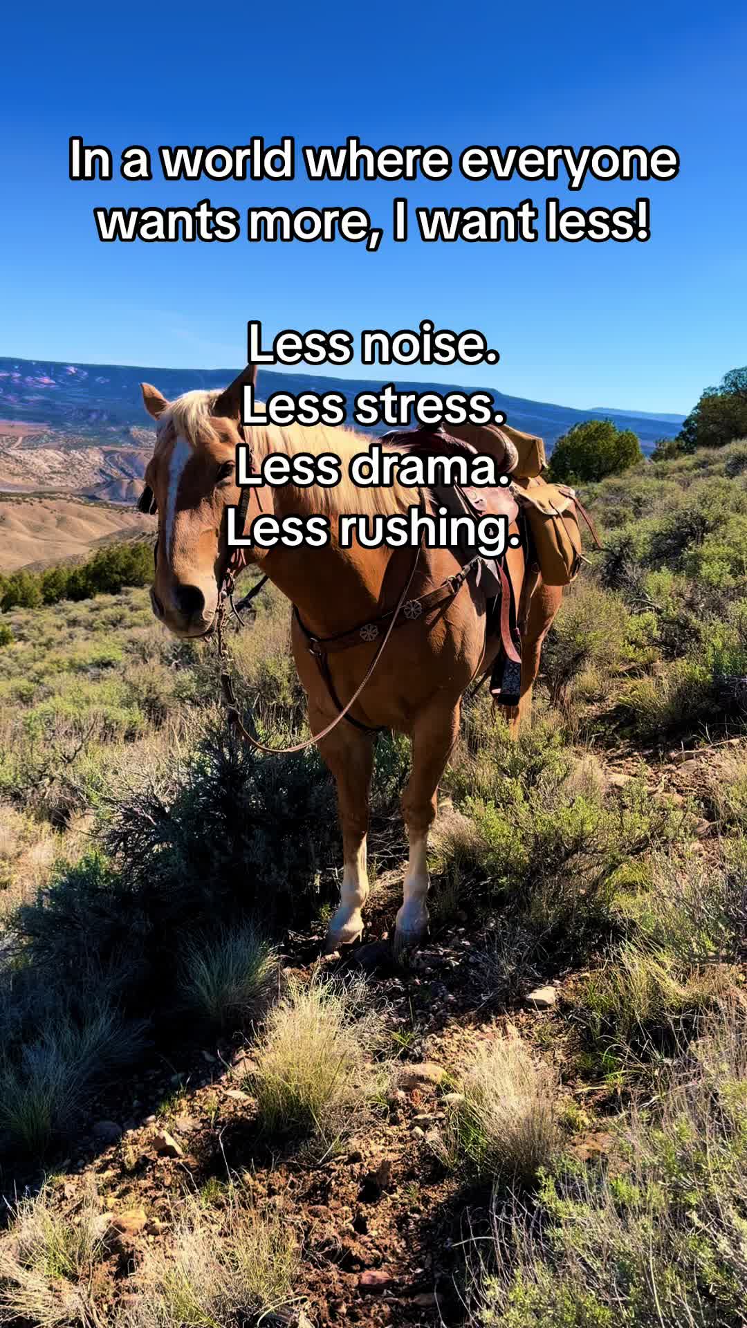 @Leslie