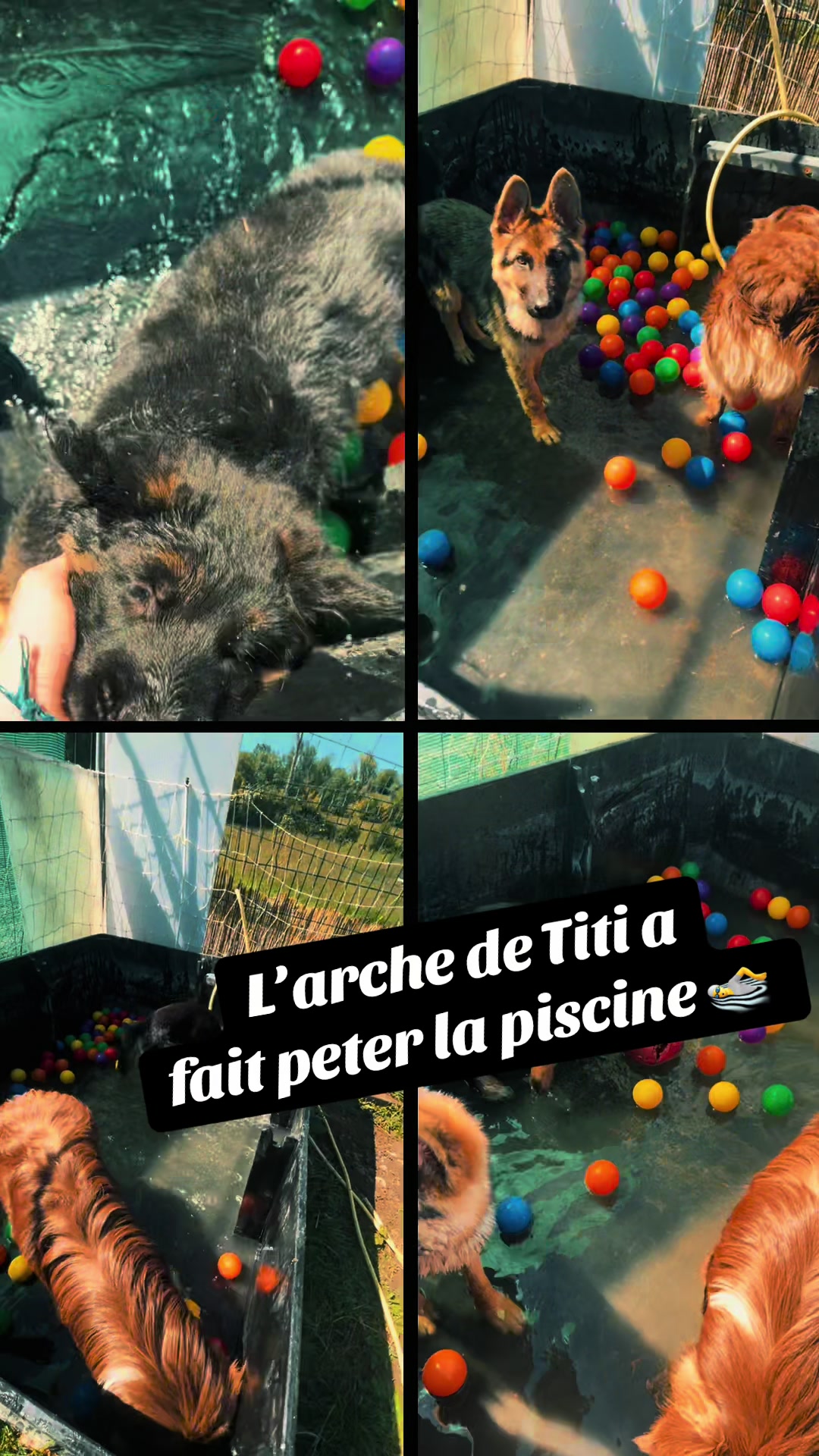 @Tiphanie Titi Hervie