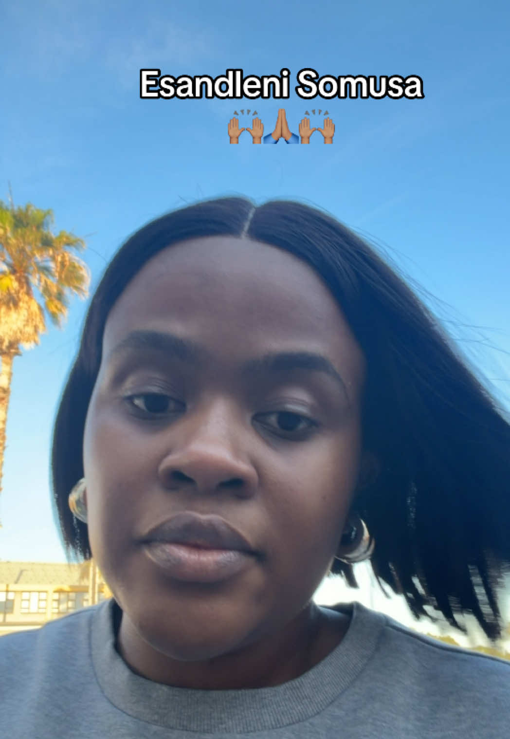 @busiesholo