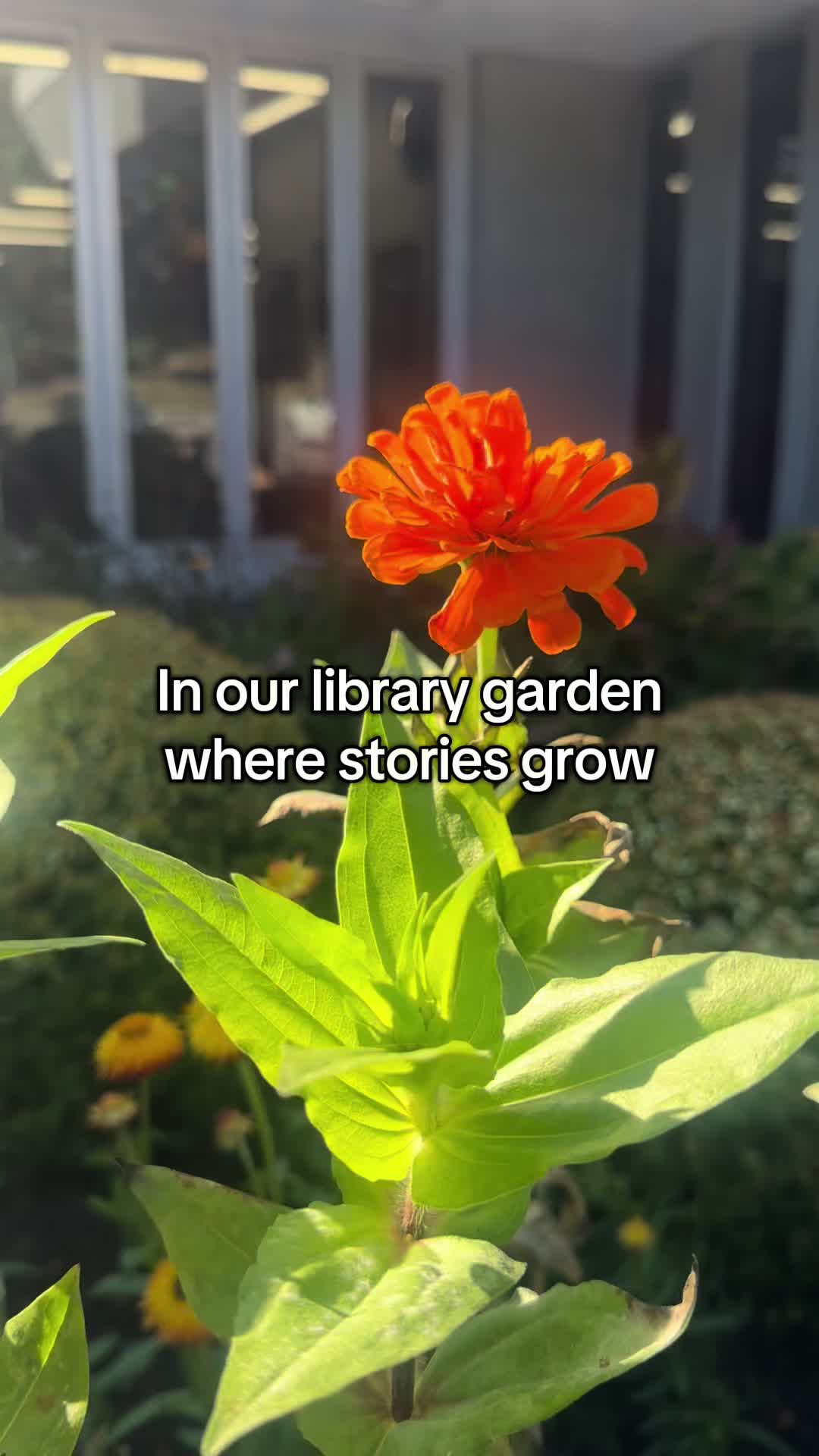 @MCPLMD