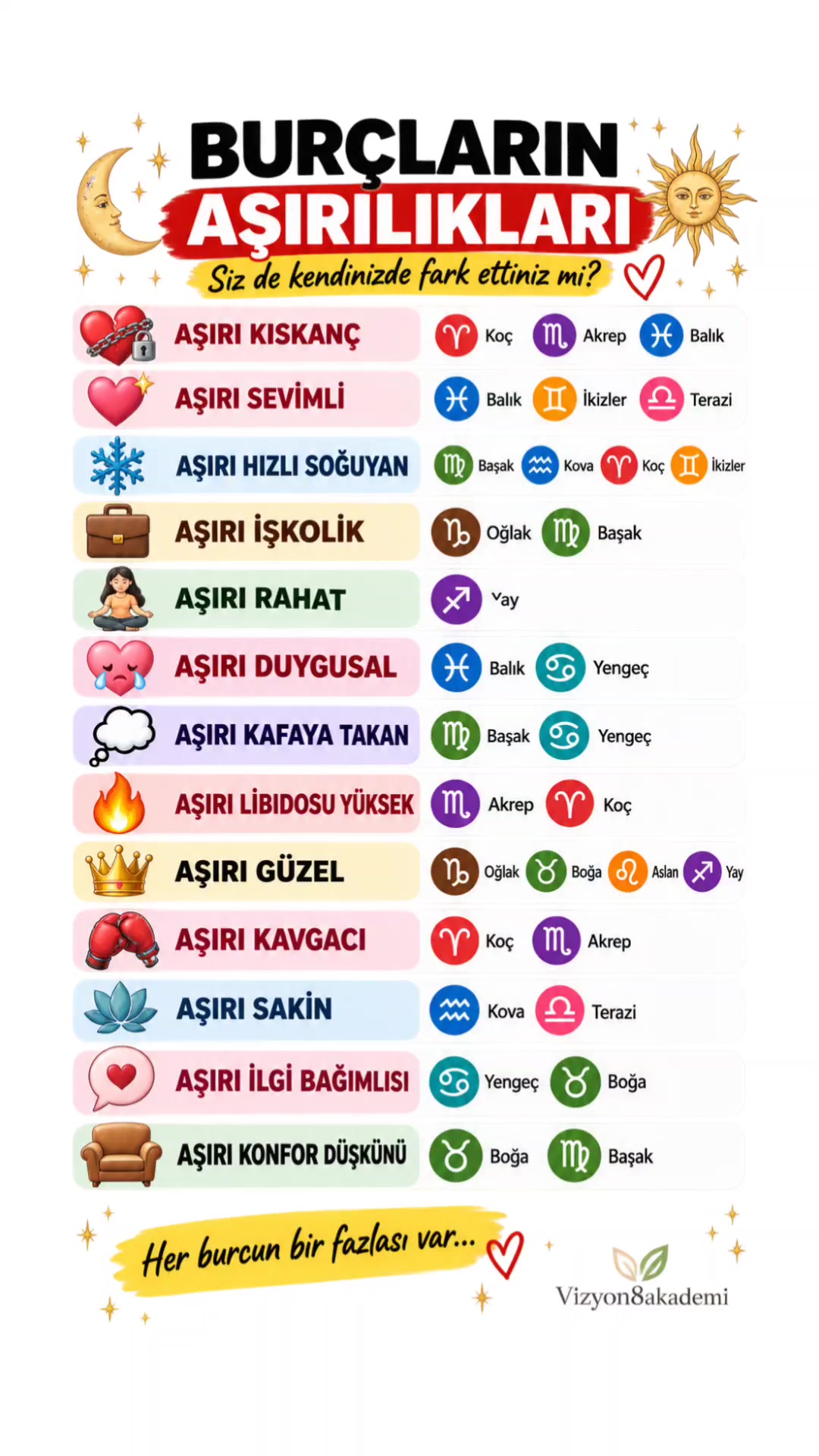 @Vizyon8akademi
