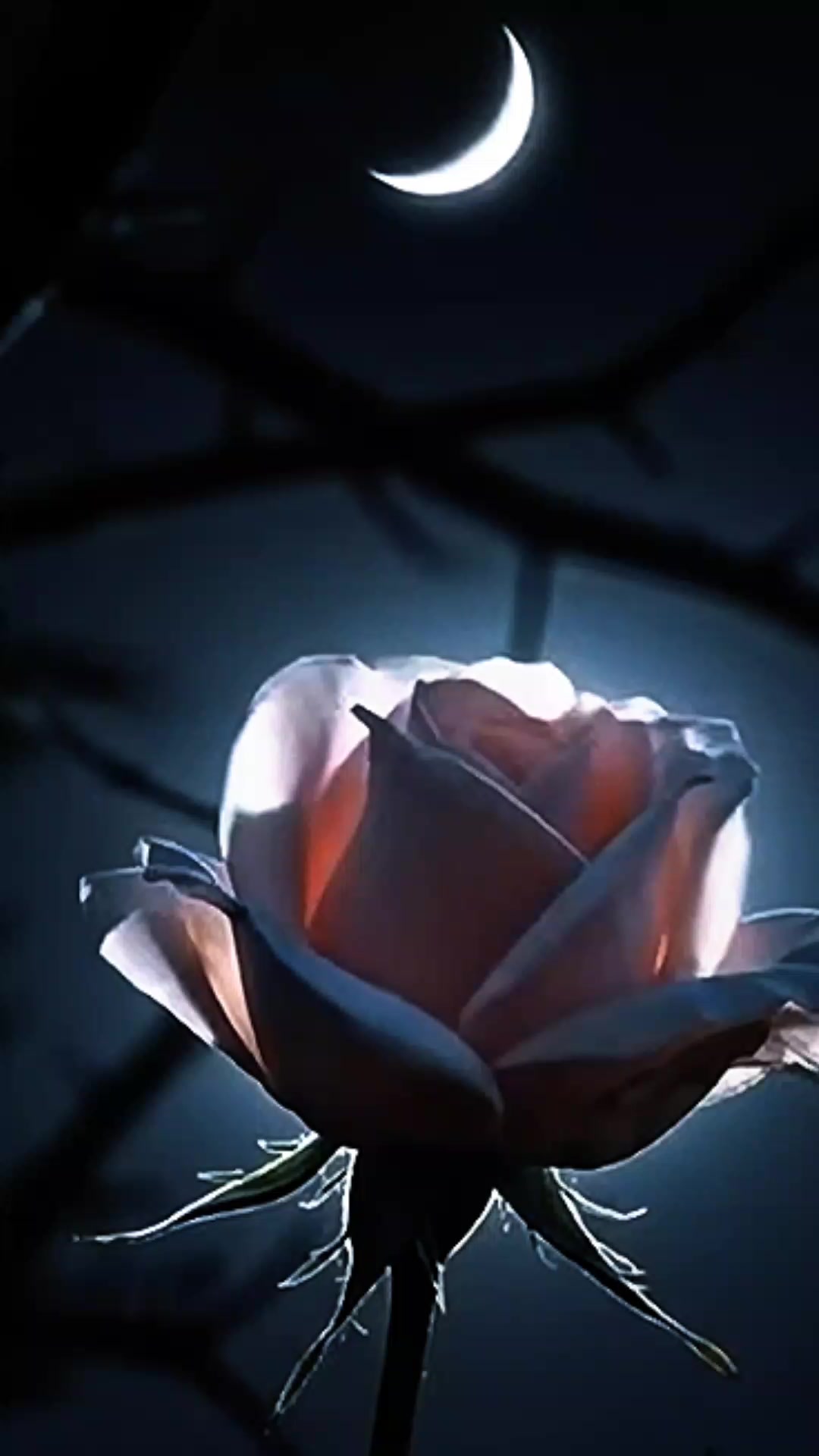 @000000011_0