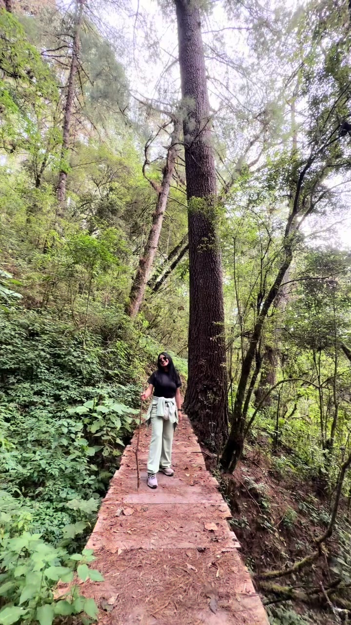 @Ani.gao 🧸✨