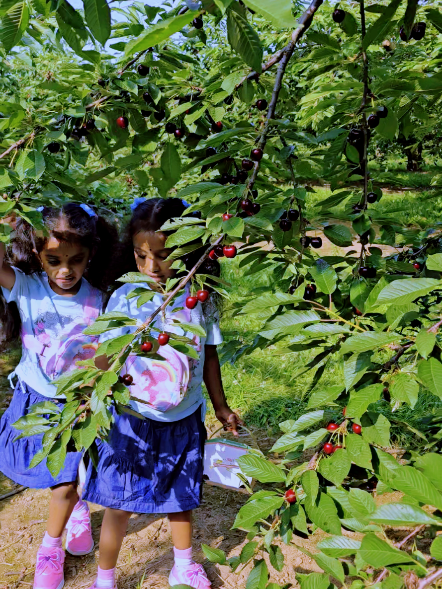 @abirami 🇨🇦