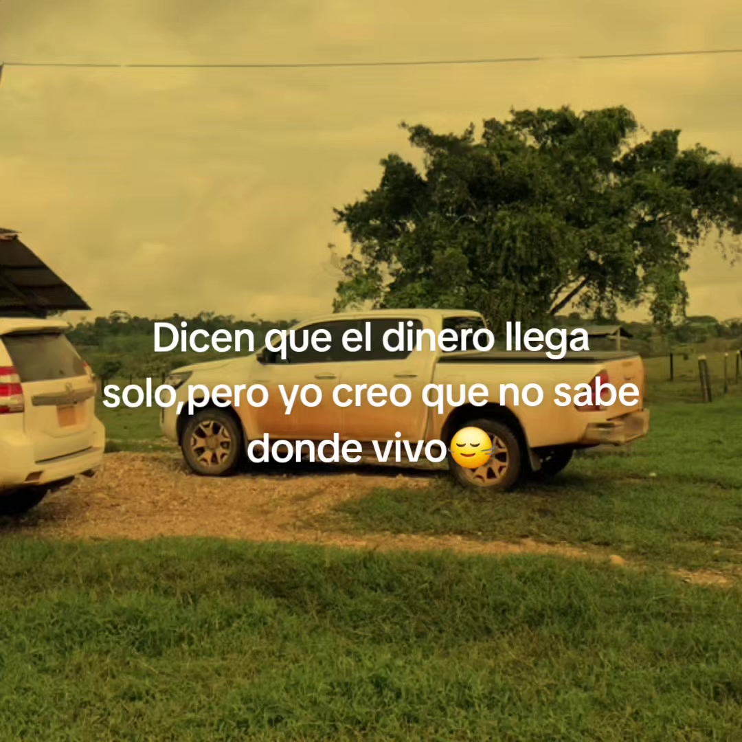 @Junior Hilux🥷