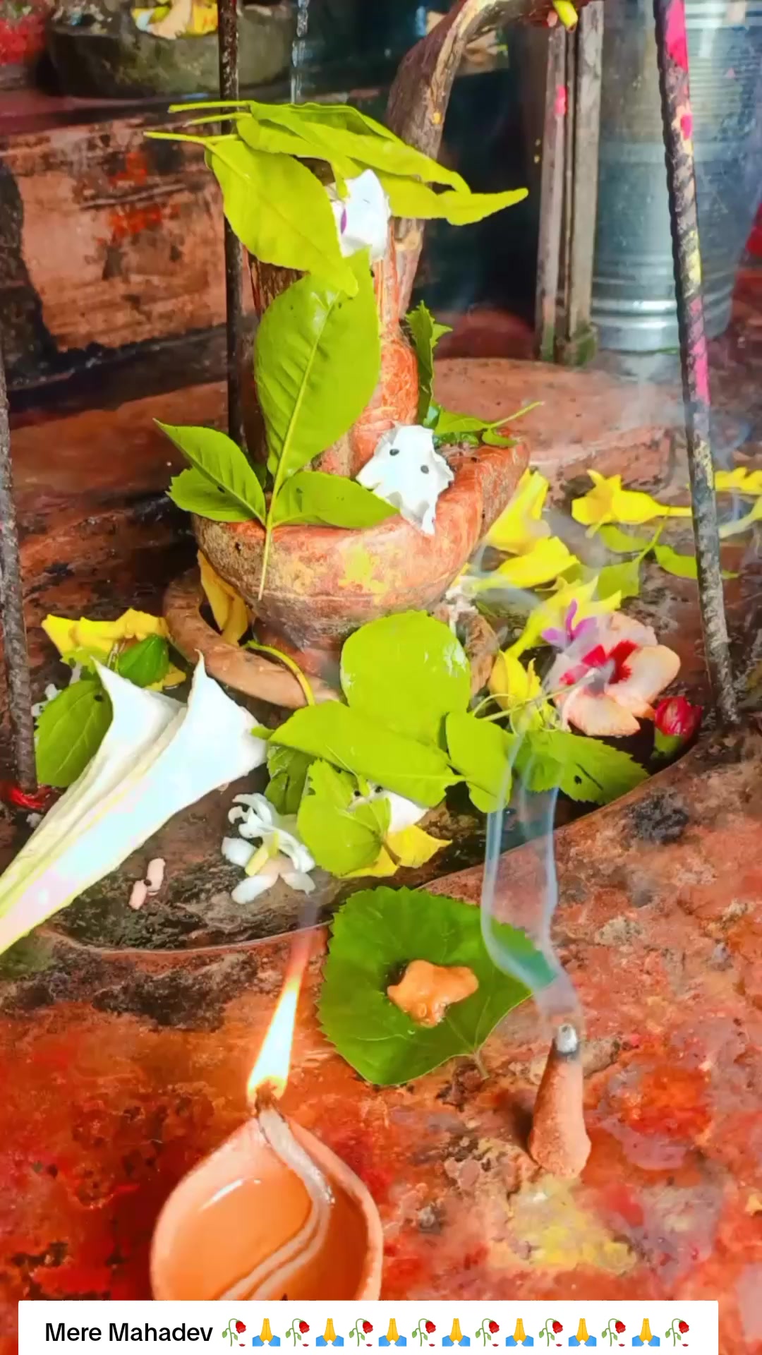 @SharbanSunitaRoyYadav861🤞❣