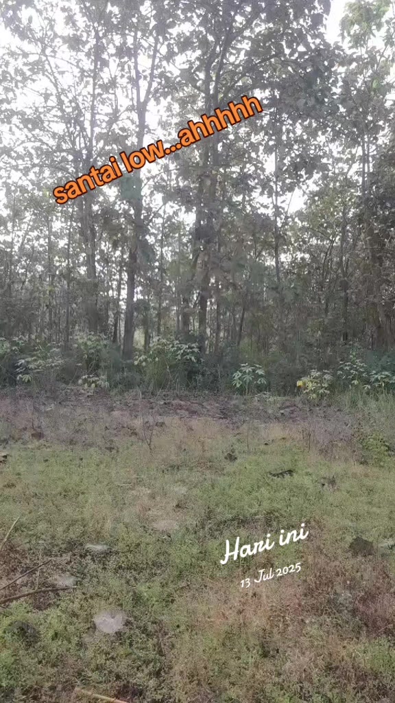 @SABREWALI