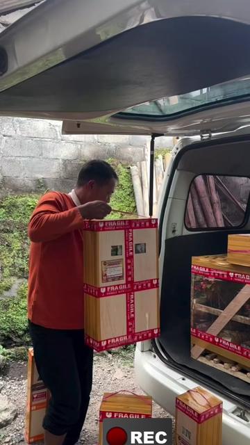@PAK EKO BOUGENVILLE