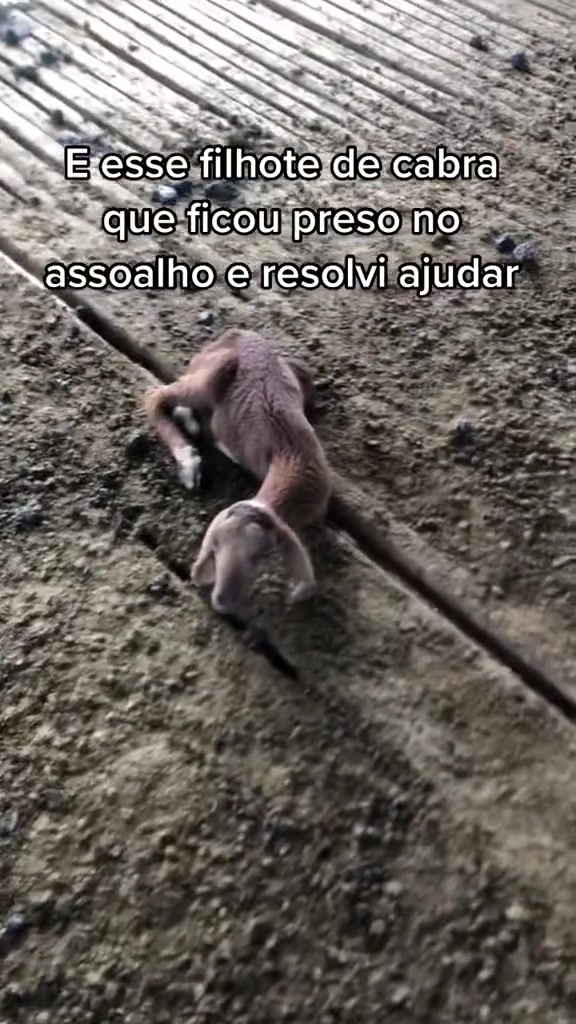 @Rjordan 🪐
