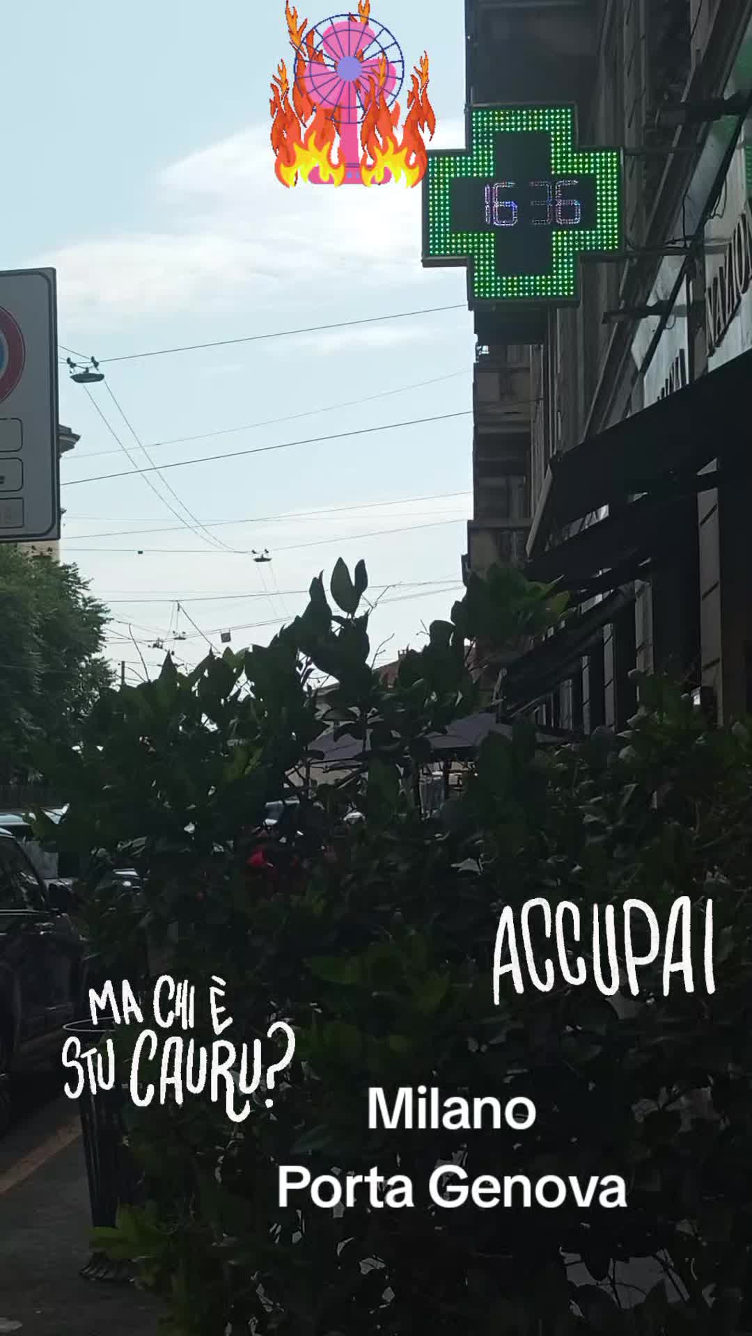 @vitomarabello2
