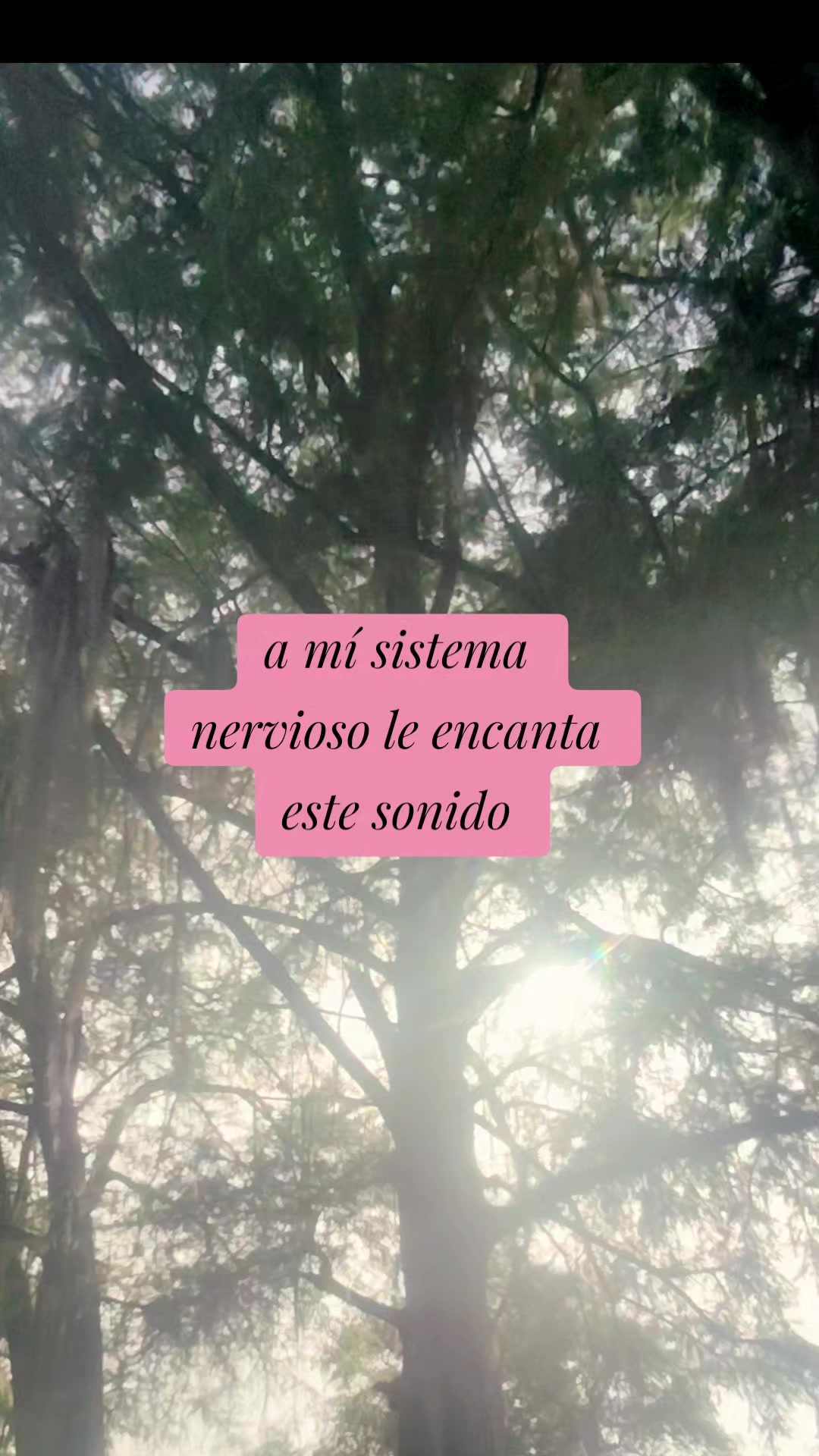 @ABY ortiz