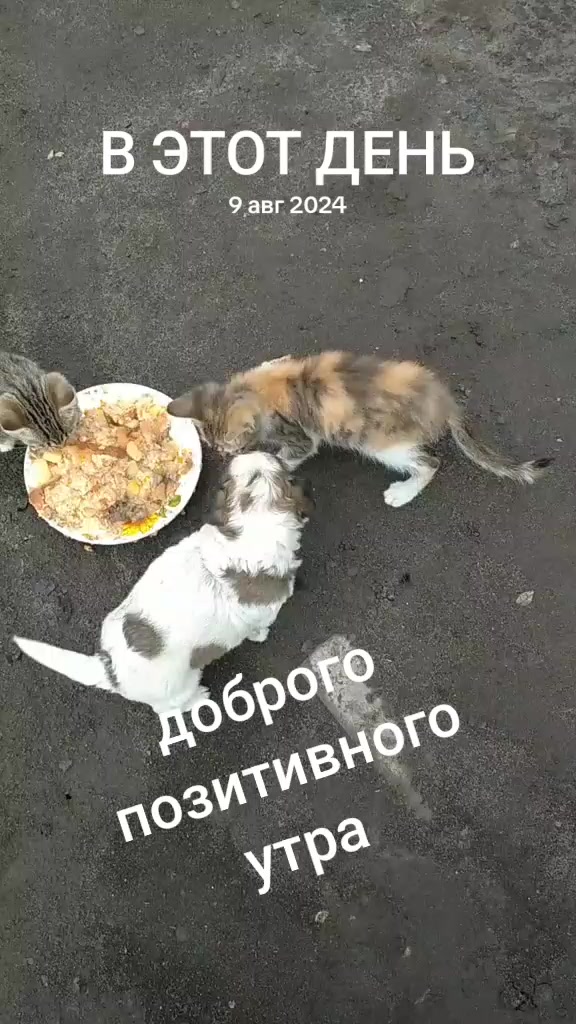 @Марина