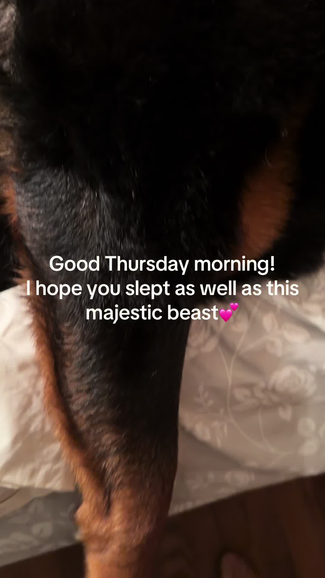 @MissChrissB