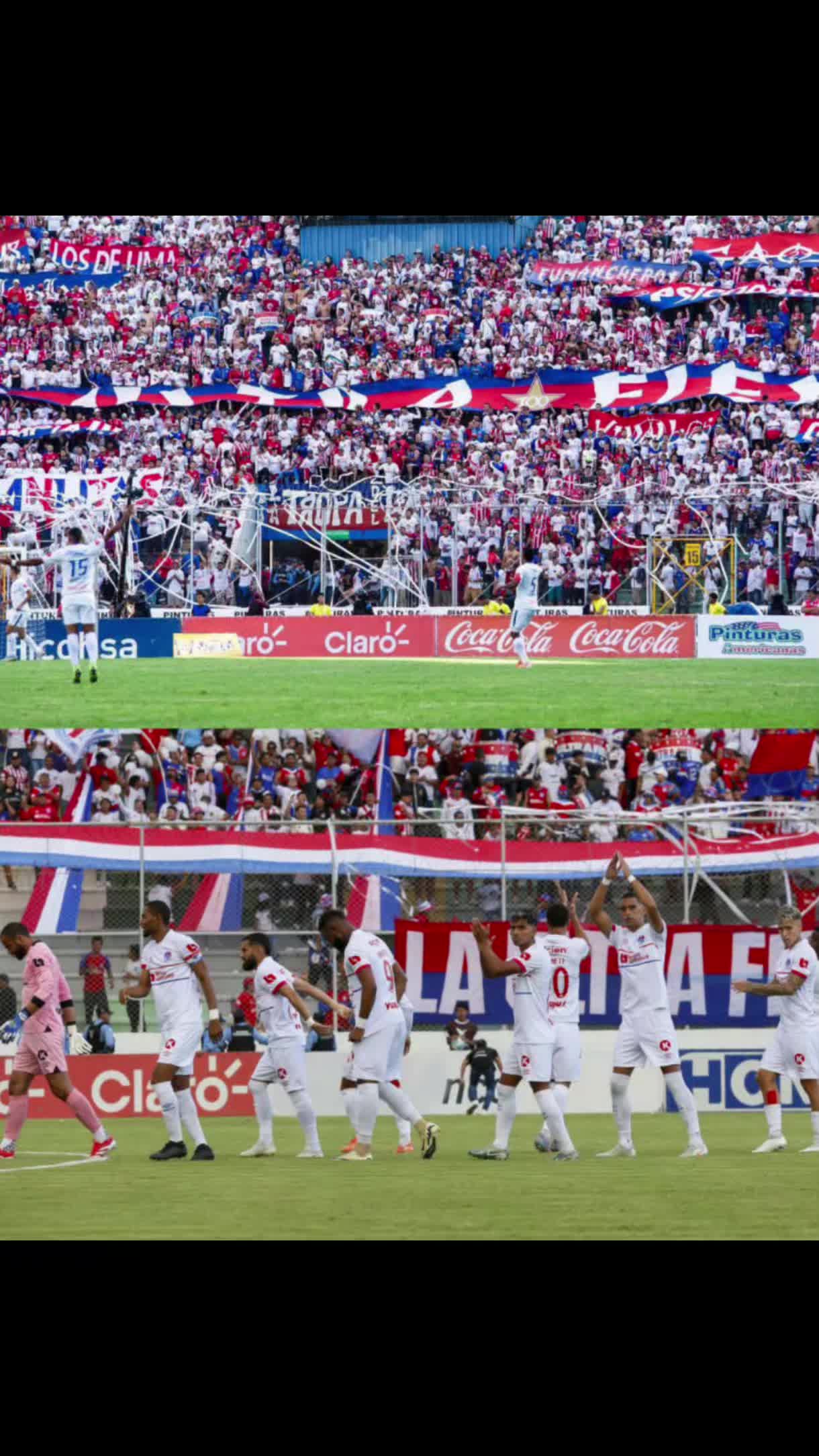 @TEAM OLIMPIA💙🤍❤️🦁👑