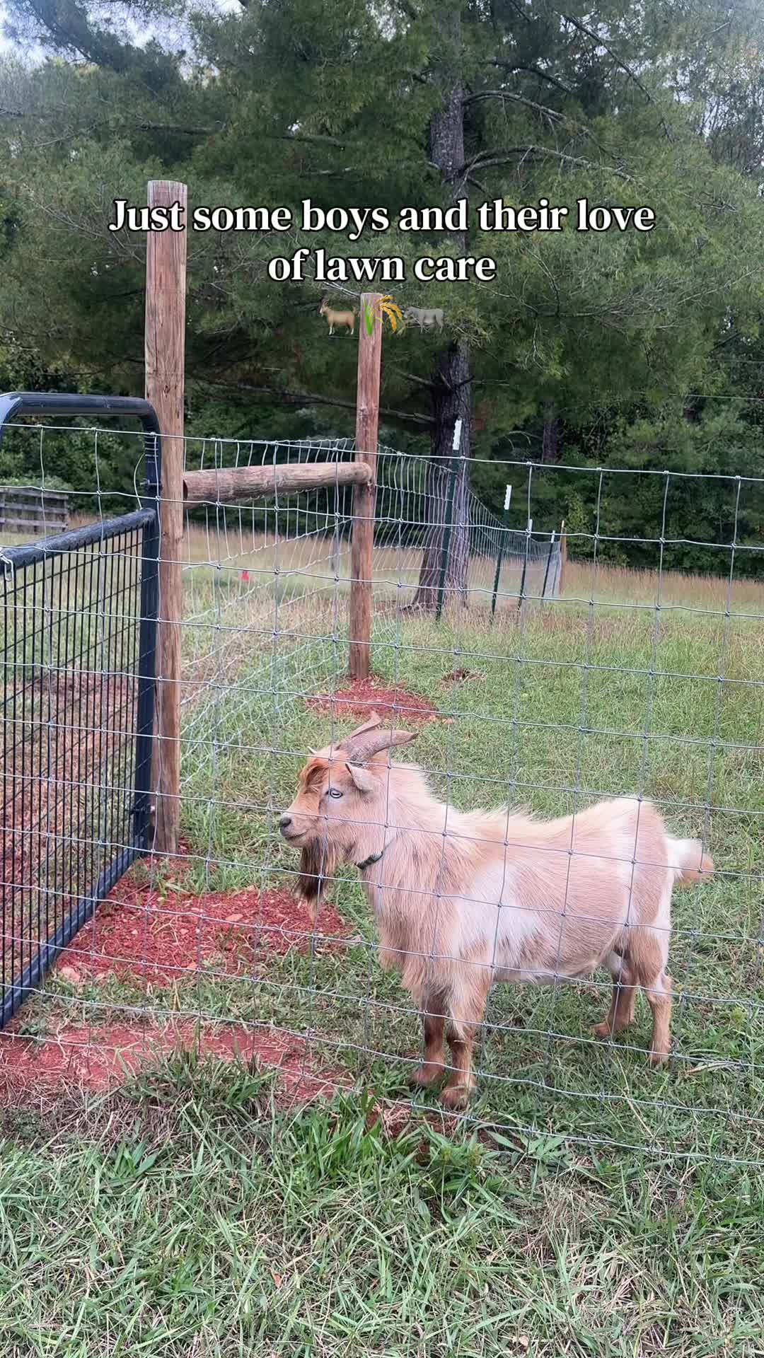 @Mindy | Pretend Farmer