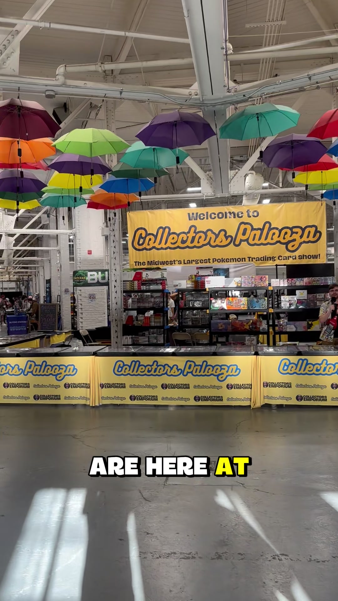 @indycollectorsemporium