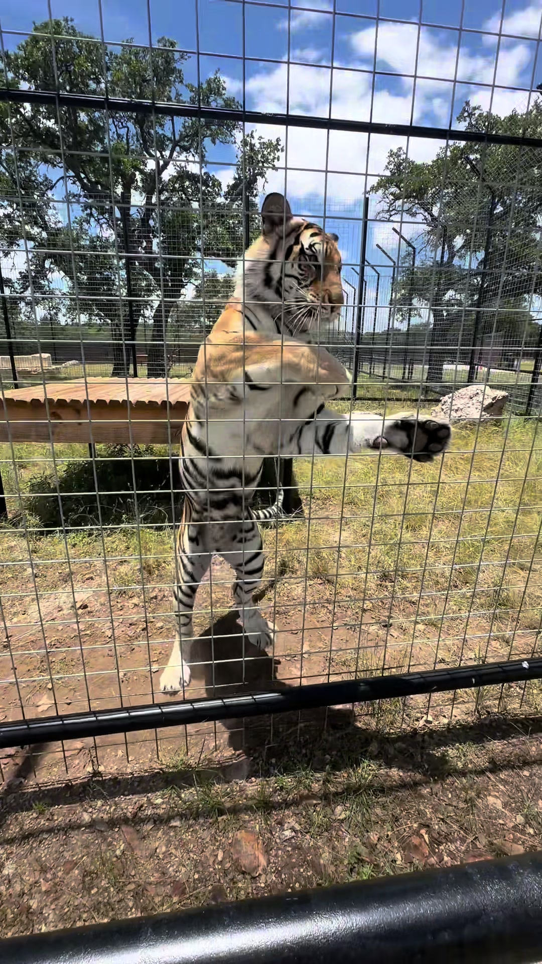 @Texas Wildlife Park