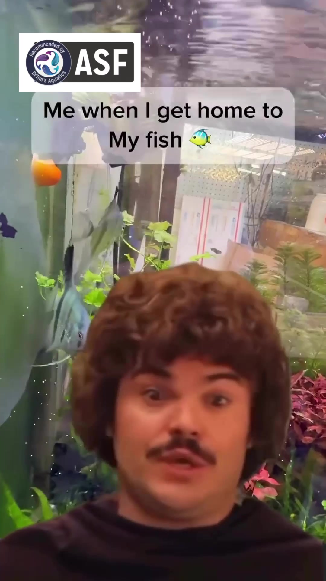 @DrTim