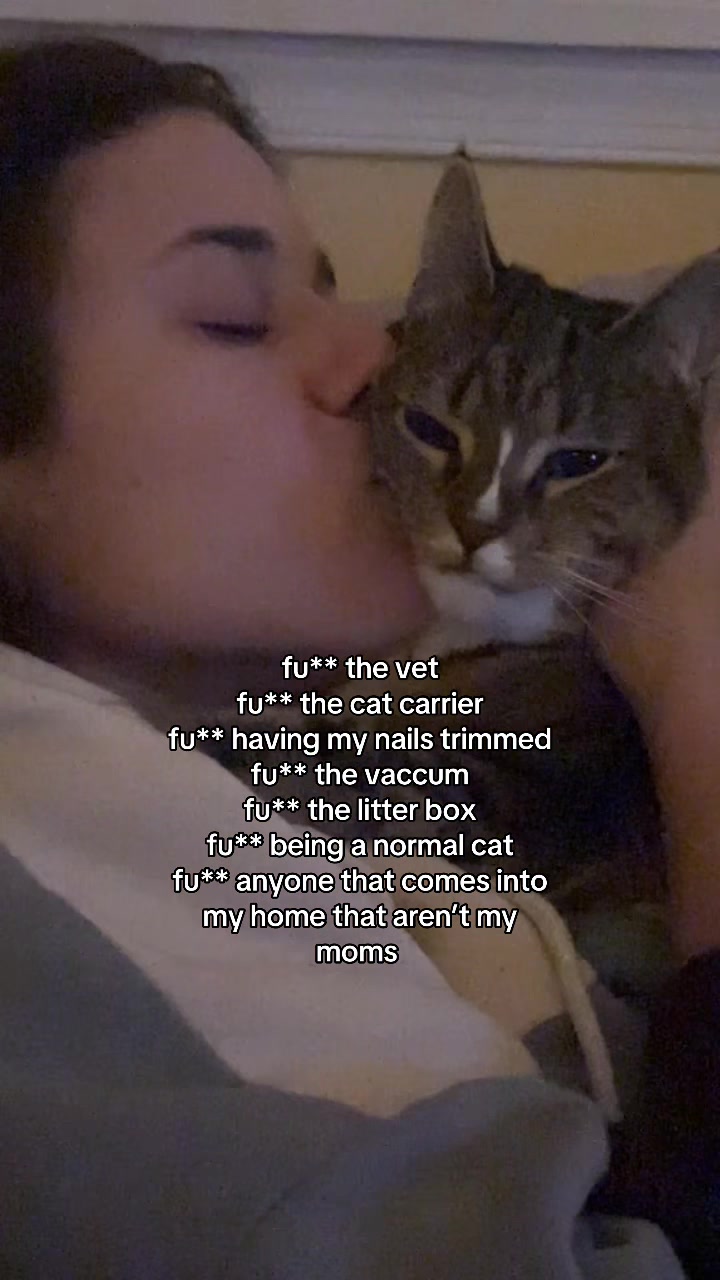 @shartishaa