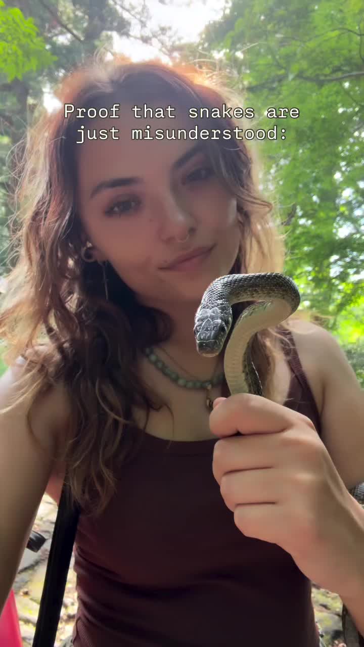 @kira_fauna