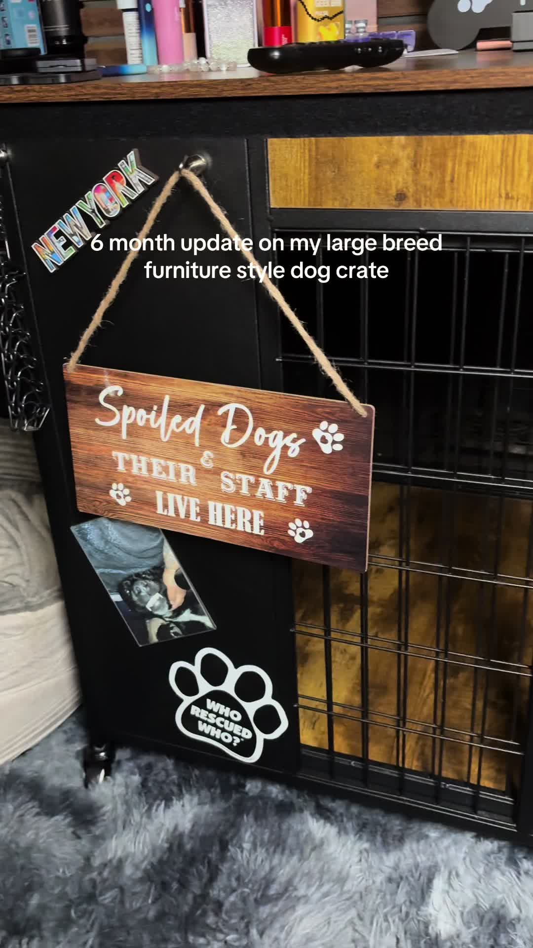 @kai&bull;thedogmother🐾