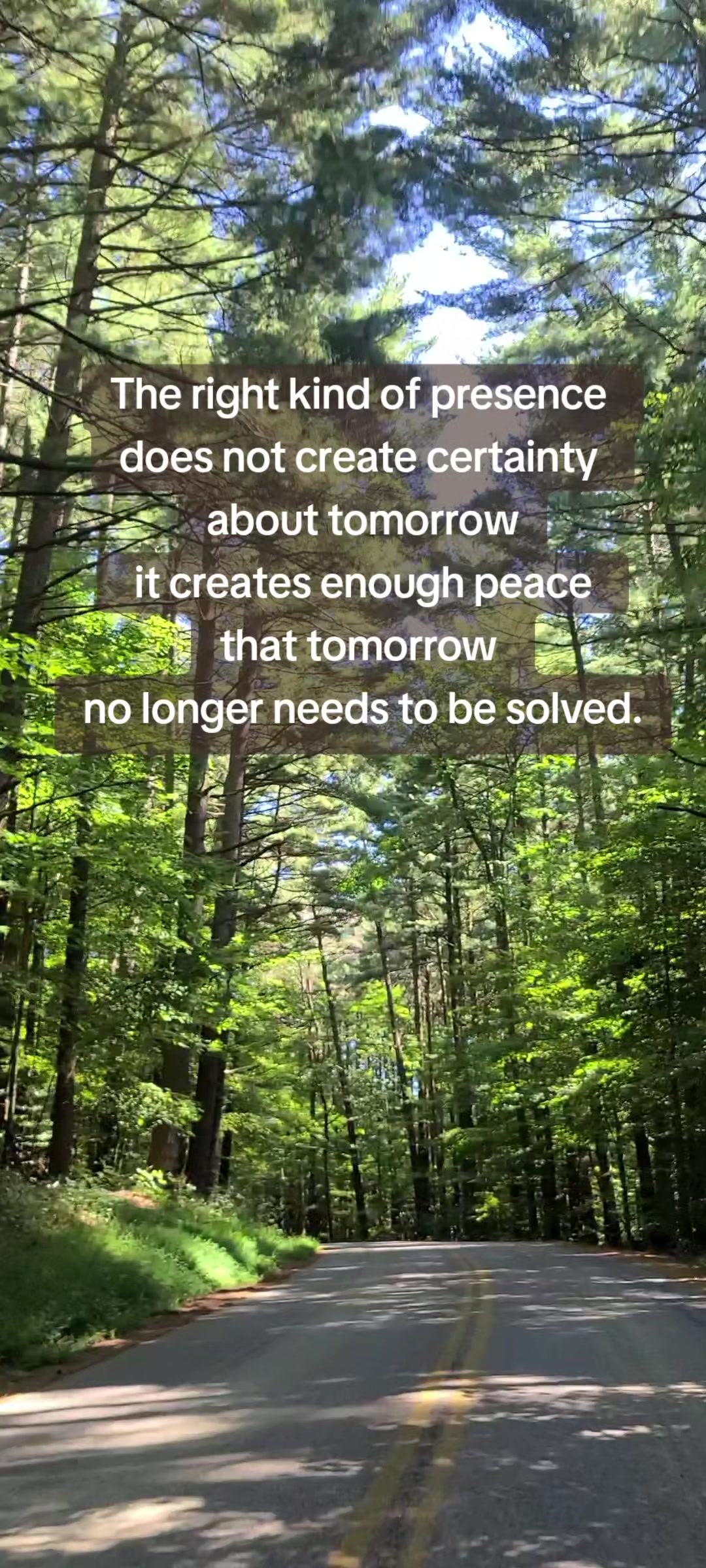 @amber83eternalroot