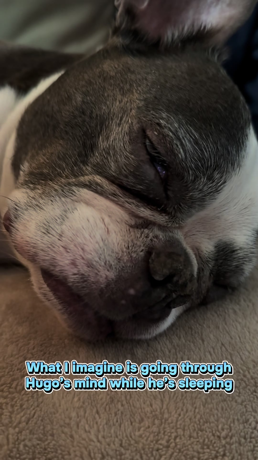 @Hugo_the_Frenchton