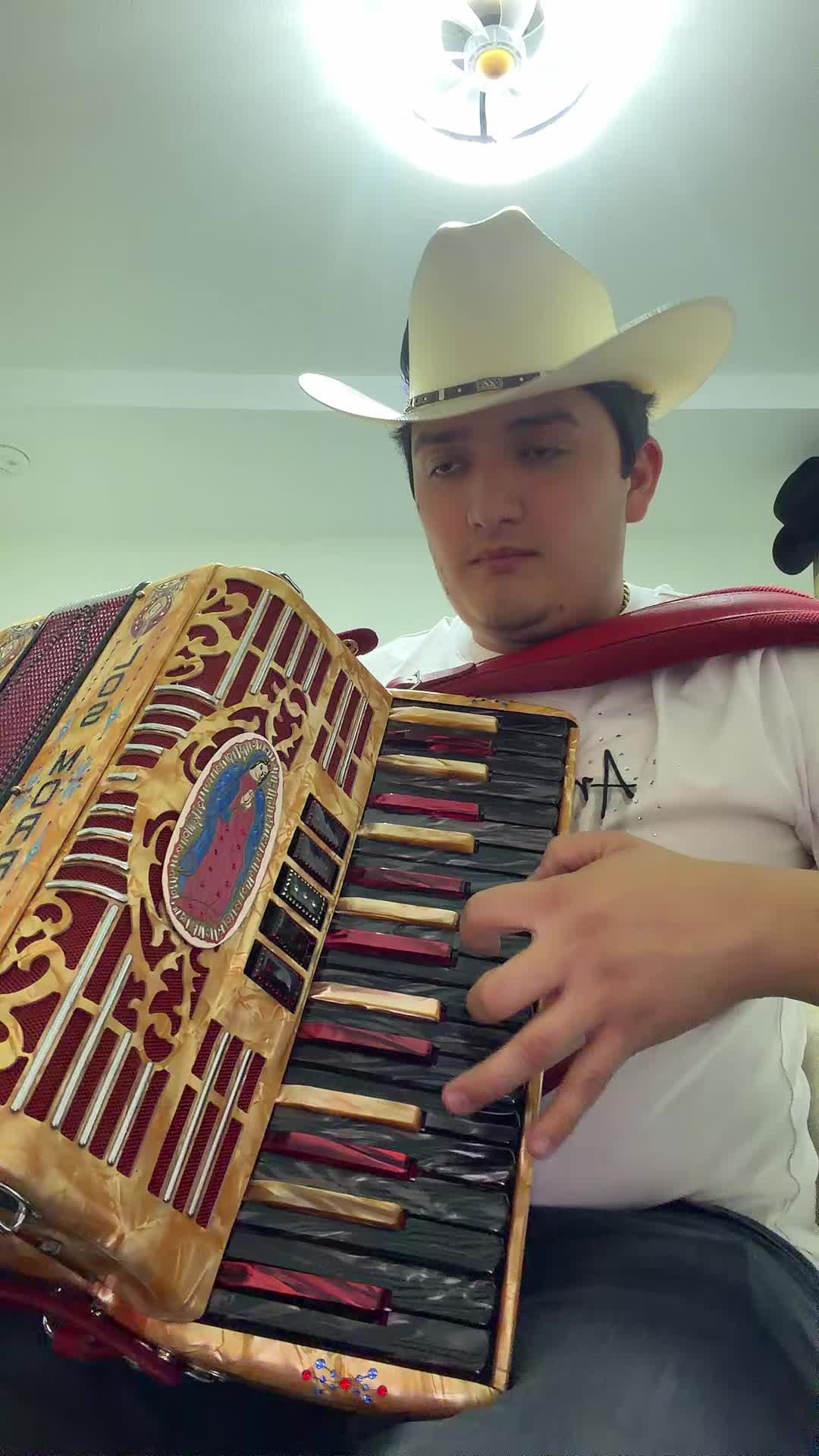 @Alexismorro🤠🎸🪗