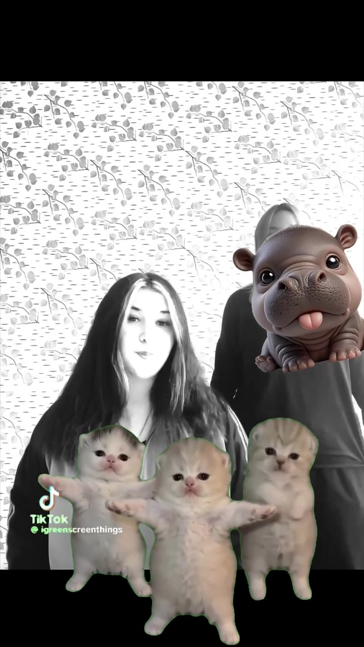 @vvarushka