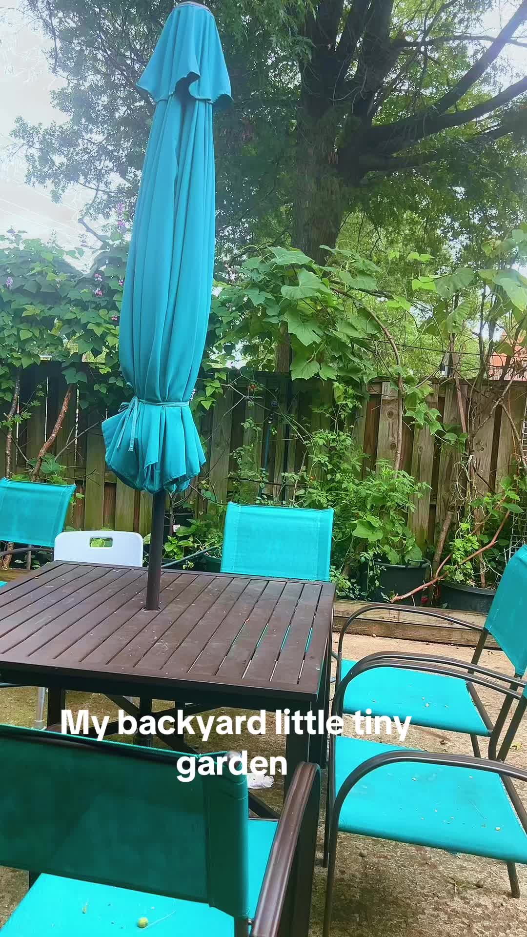 @😘😘🥀🇺🇸love_m0nu🇧🇩😘😘