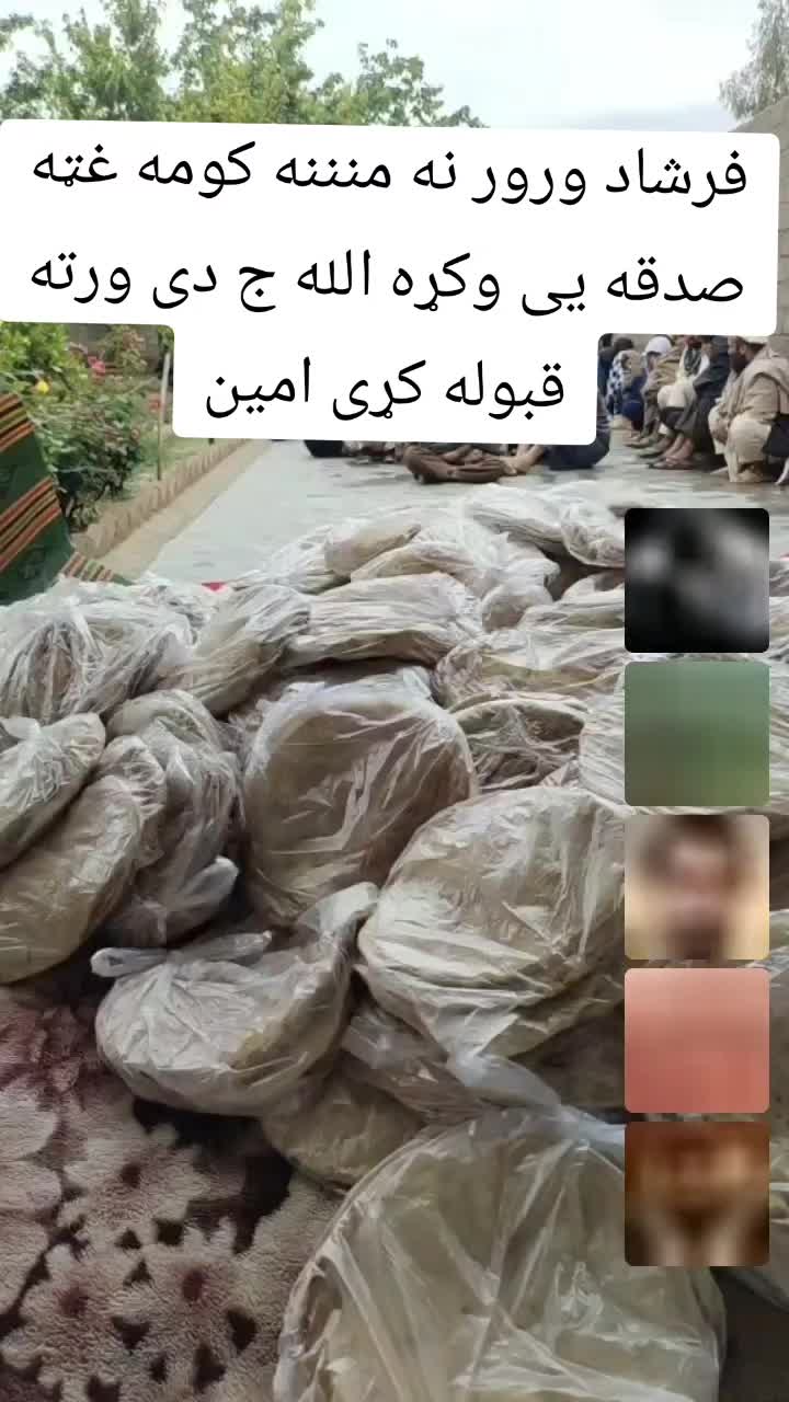 @majahidniazai