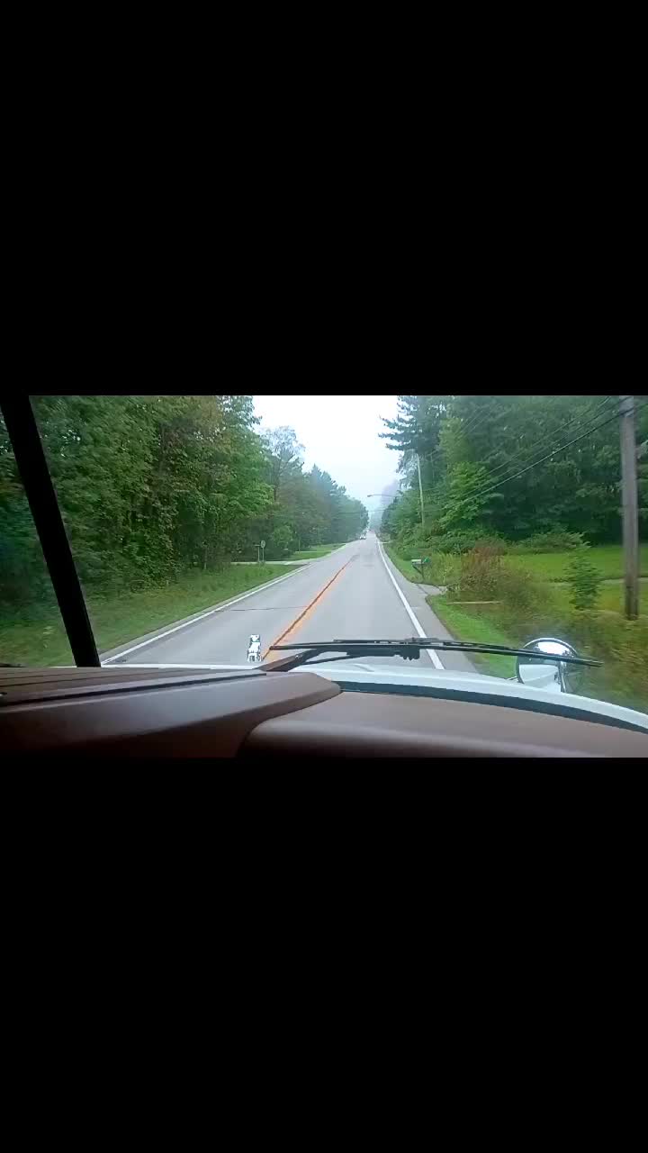 @🩵💙5Strellas💙🩵