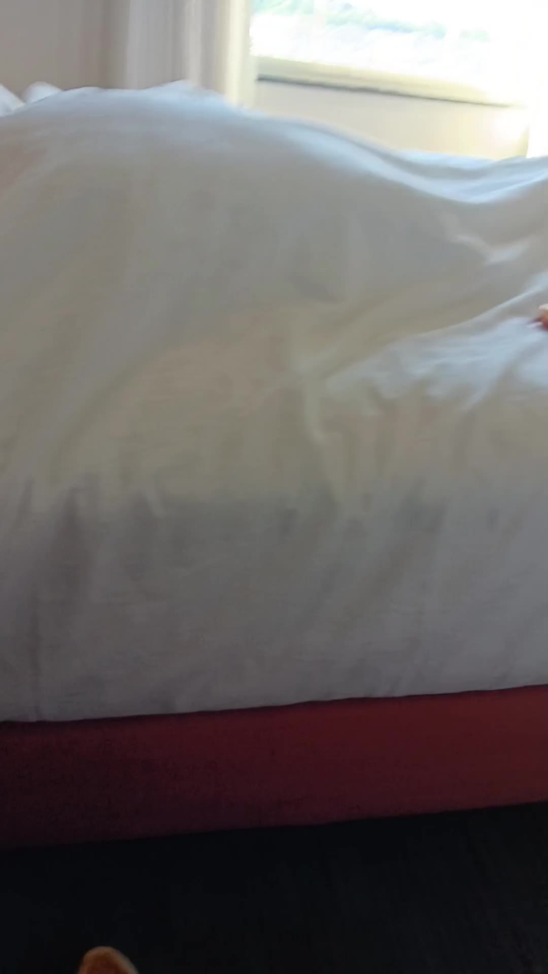 @ButterPecan1205