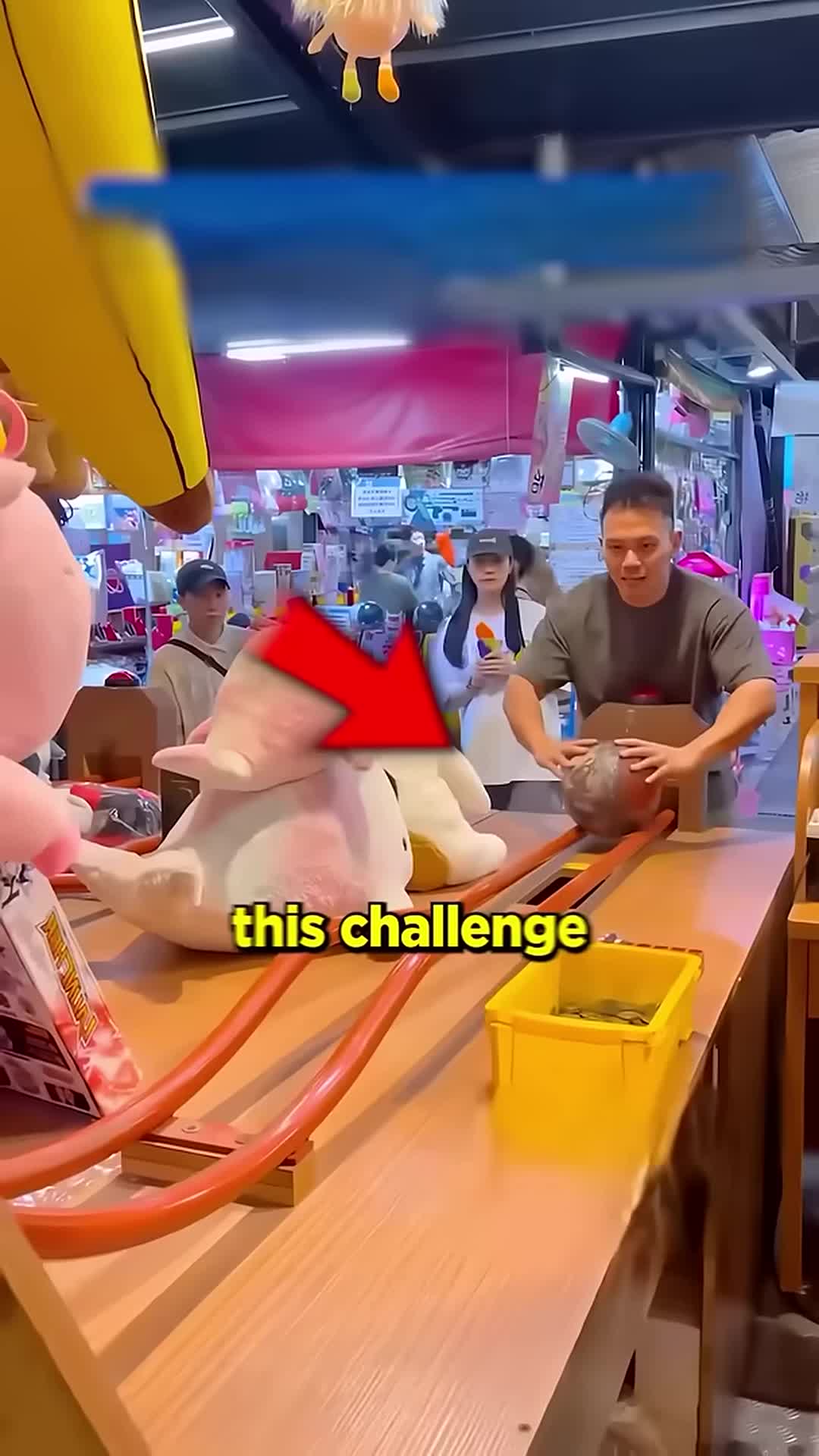 @user78782936093286