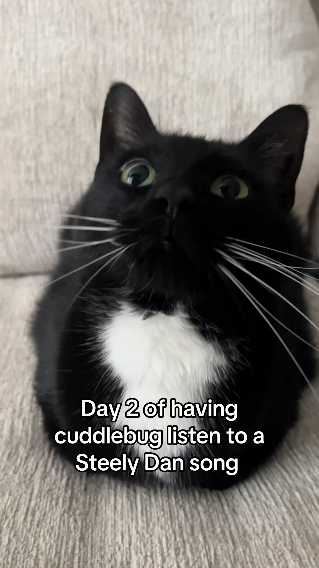 @CuddleBug